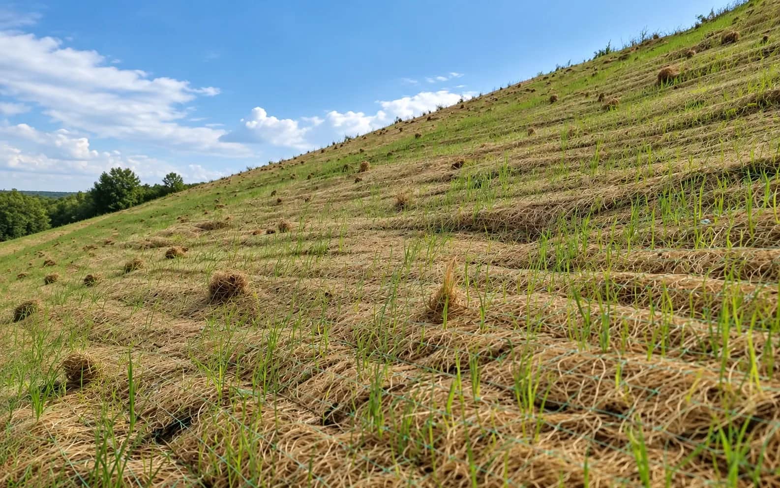Erosion Control Blanket